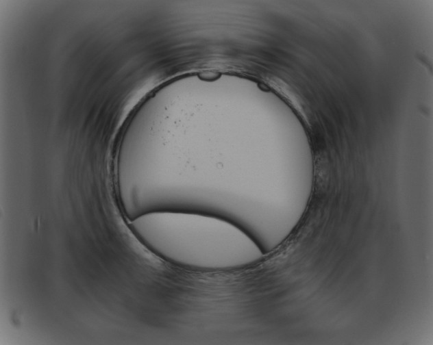 X0000093461091200710120945