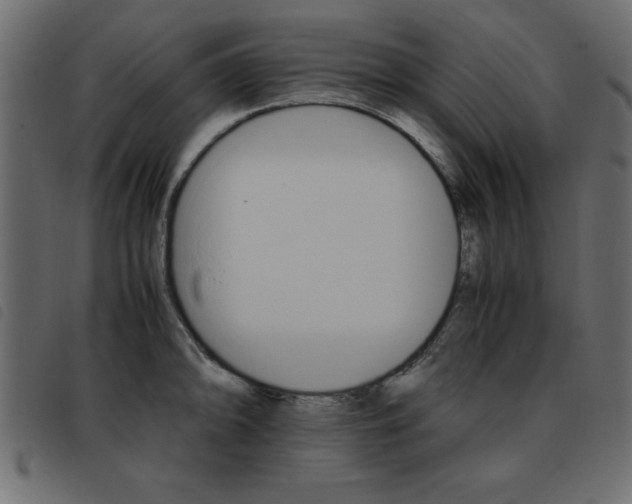 X0000093461094200710120945