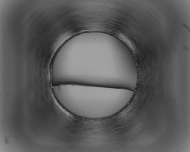 X0000093461095200710120945