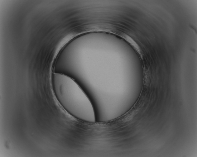 X0000093461096200710120944
