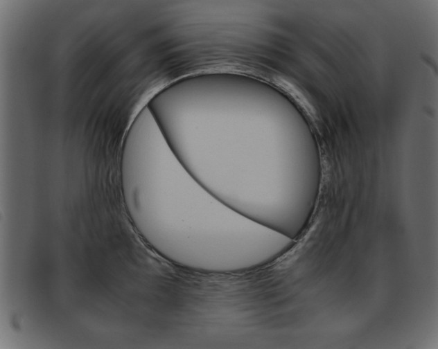 X0000093461097200710120944