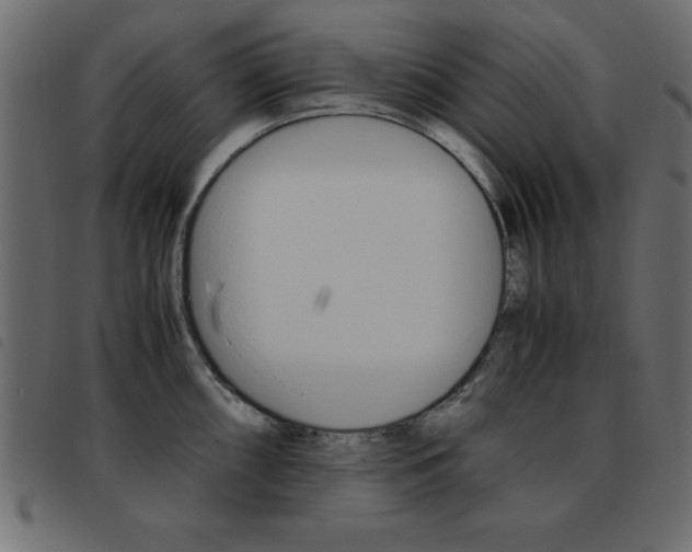 X0000093461098200710120944
