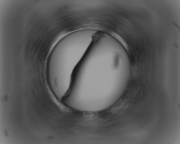 X0000093461099200710120944