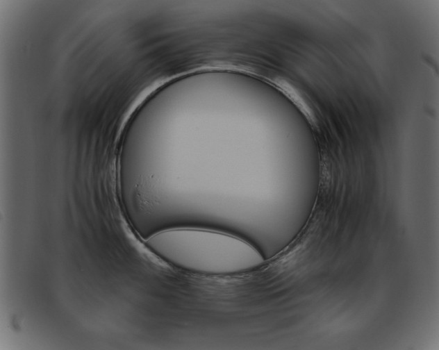X0000093461100200710120944