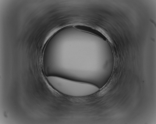 X0000093461101200710120944