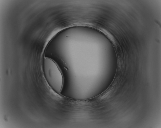 X0000093461102200710120944