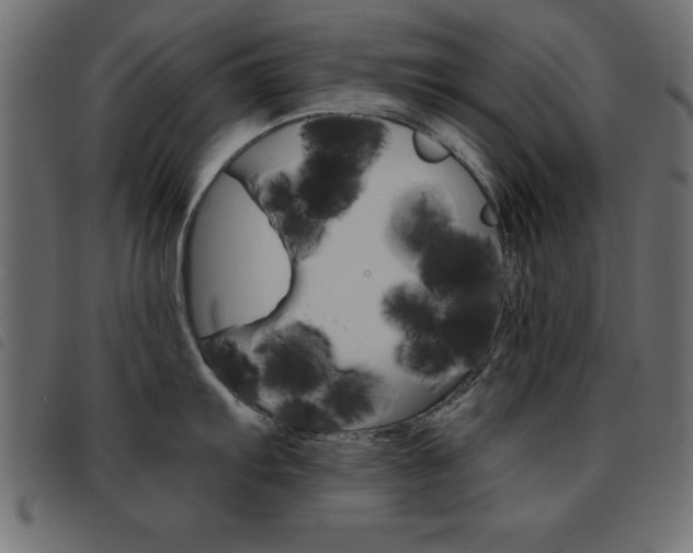 X0000093461103200710120944