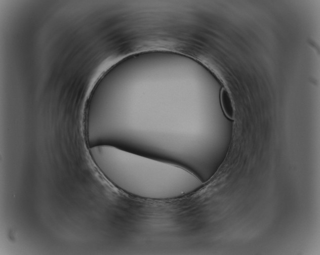 X0000093461104200710120944