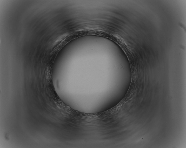 X0000093461110200710120944