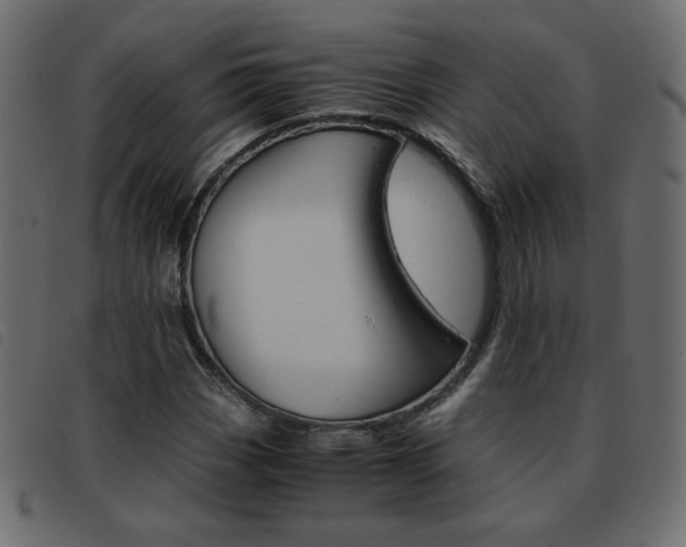 X0000093461113200710120944