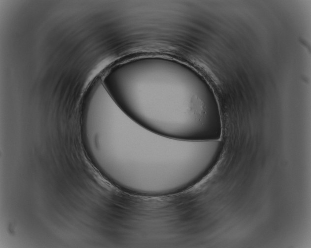 X0000093461114200710120944