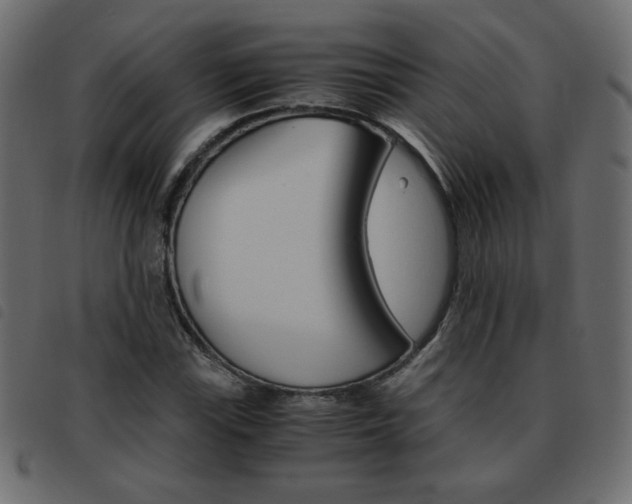 X0000093461115200710120944