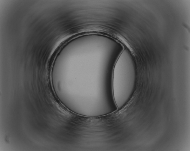 X0000093461116200710120944