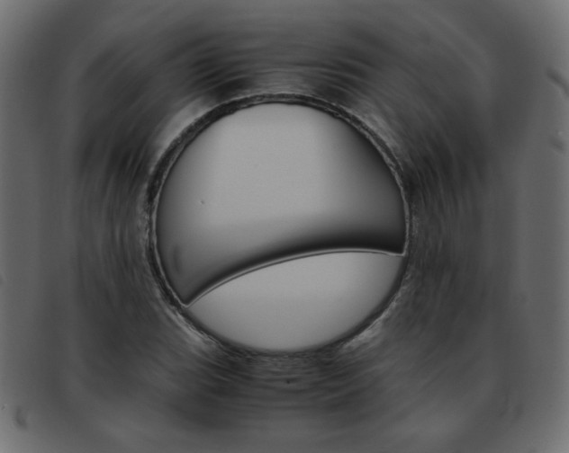 X0000093461119200710120944
