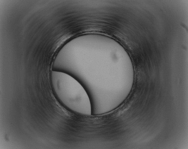 X0000093461121200710120944