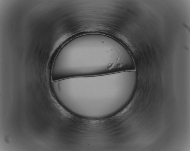 X0000093461122200710120944