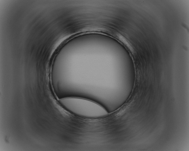 X0000093461124200710120944