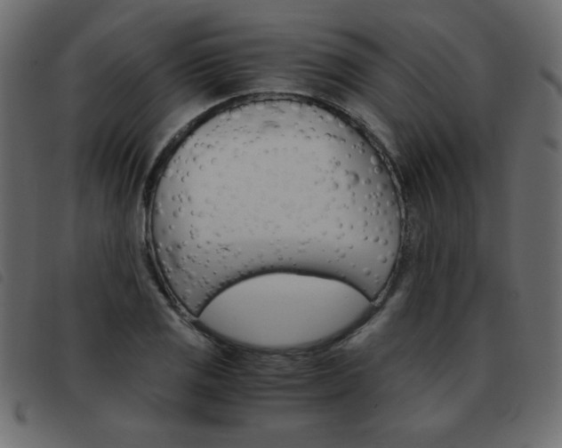 X0000093461125200710120944