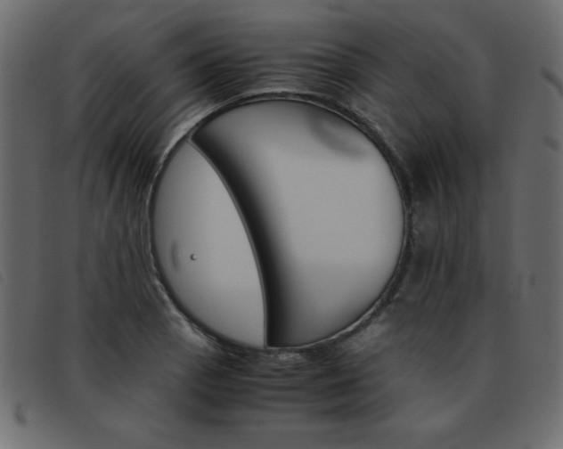 X0000093461129200710120944