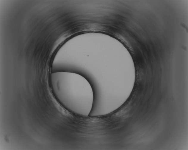 X0000093461130200710120944