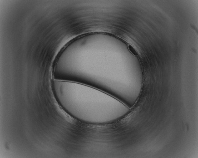 X0000093461132200710120944