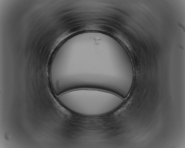 X0000093461133200710120944