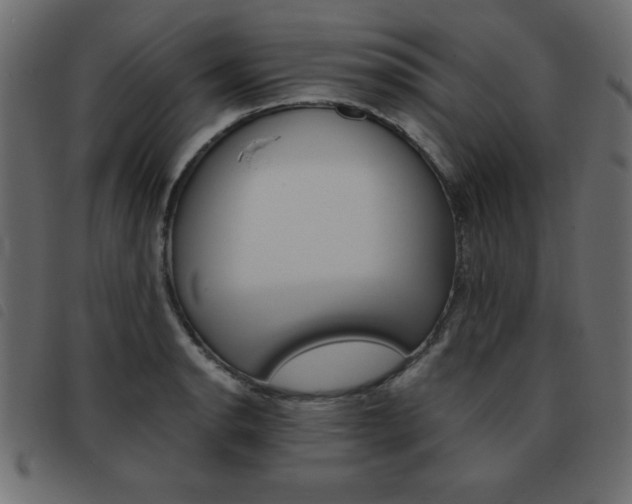 X0000093461134200710120944