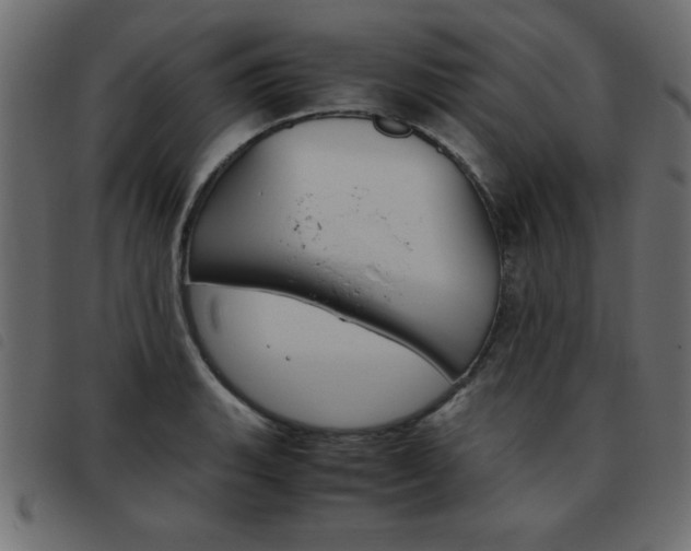 X0000093461135200710120944
