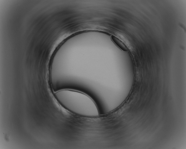 X0000093461136200710120944