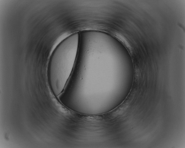 X0000093461138200710120944