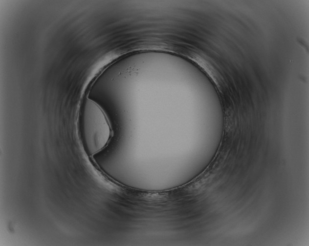 X0000093461139200710120944