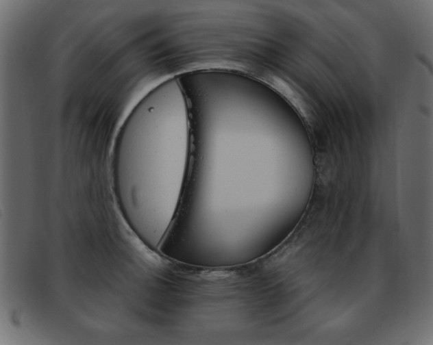 X0000093461140200710120944