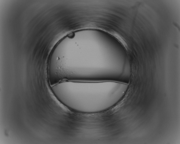 X0000093461142200710120944