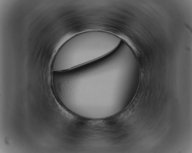 X0000093461143200710120944