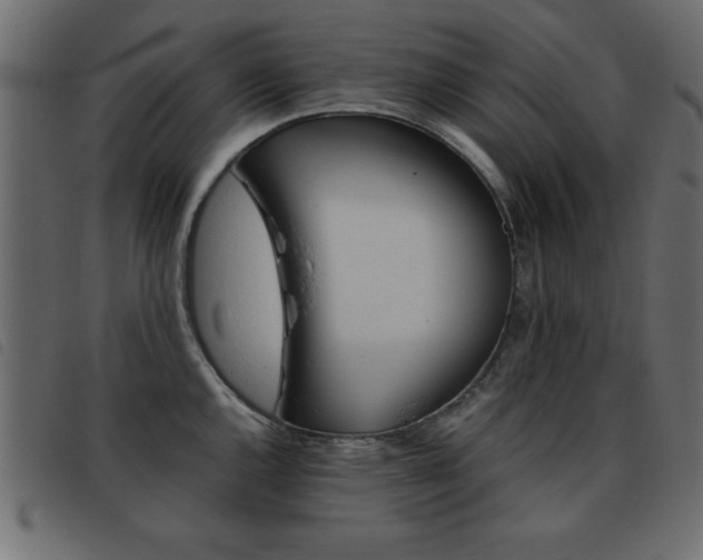 X0000093461144200710120944