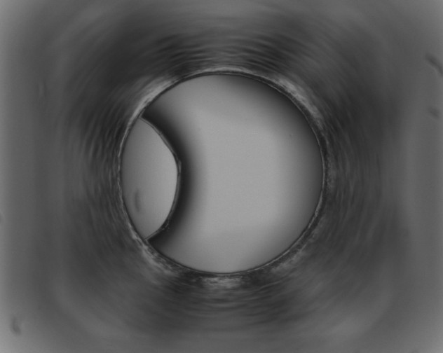 X0000093461145200710120944