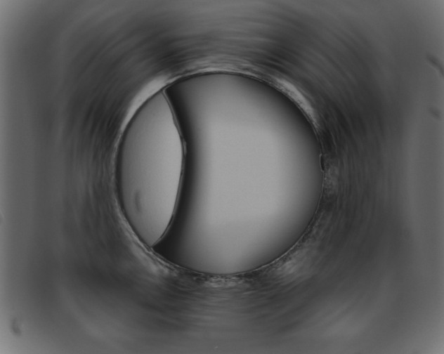 X0000093461146200710120944