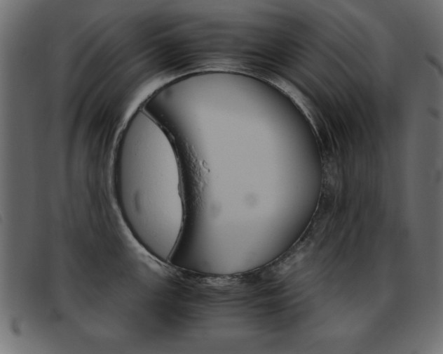 X0000093461147200710120944