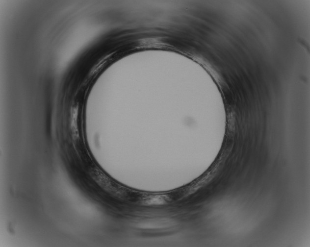 X0000093461150200710120944