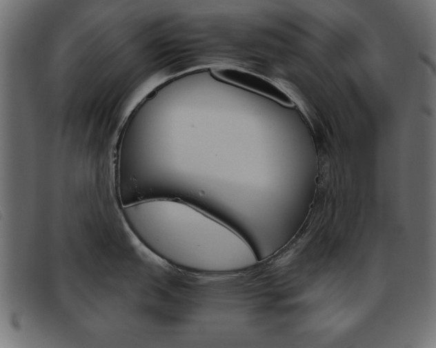 X0000093461151200710120944