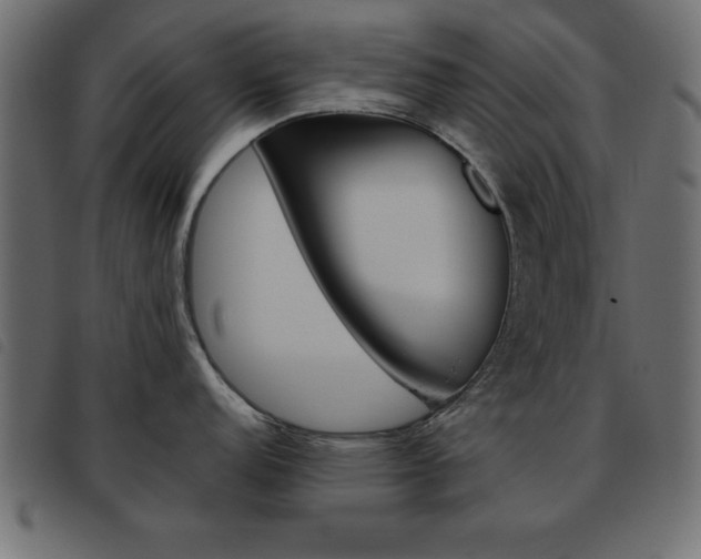 X0000093461152200710120944
