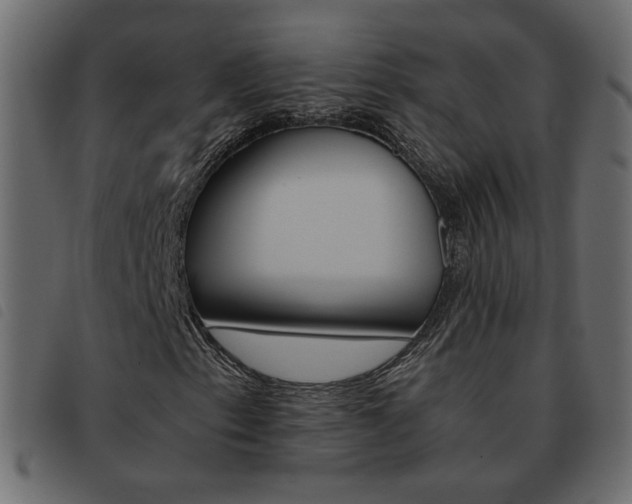 X0000093461153200710120944