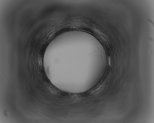X0000093461155200710120944