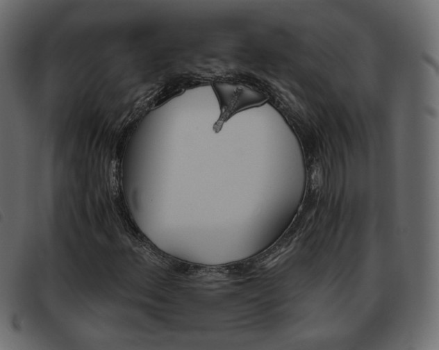 X0000093461156200710120944
