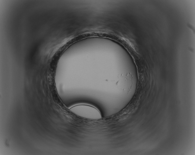 X0000093461159200710120944