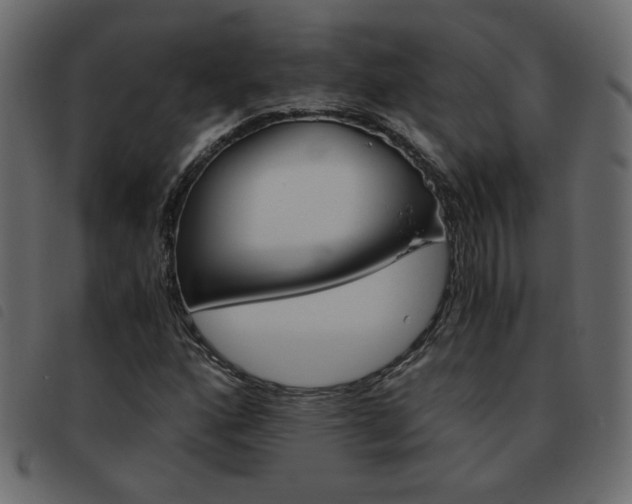 X0000093461160200710120944