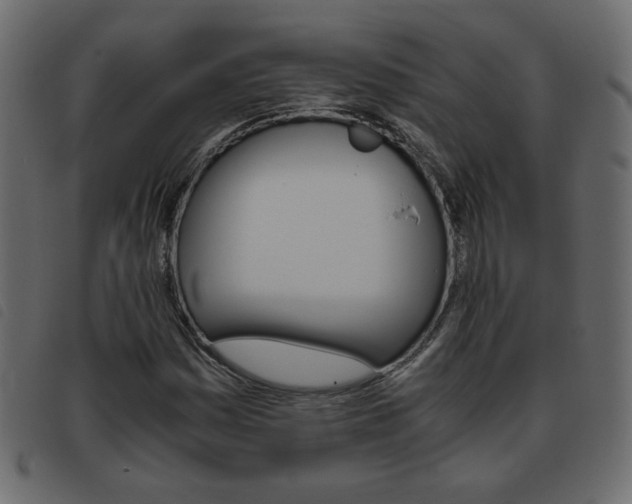 X0000093461161200710120944