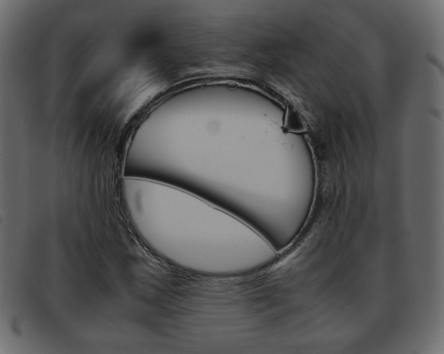 X0000093461163200710120944