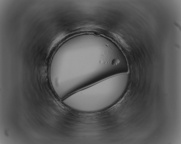 X0000093461164200710120944