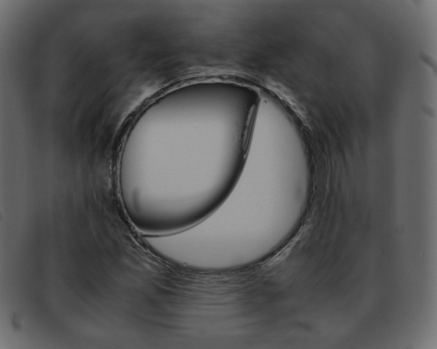 X0000093461165200710120944